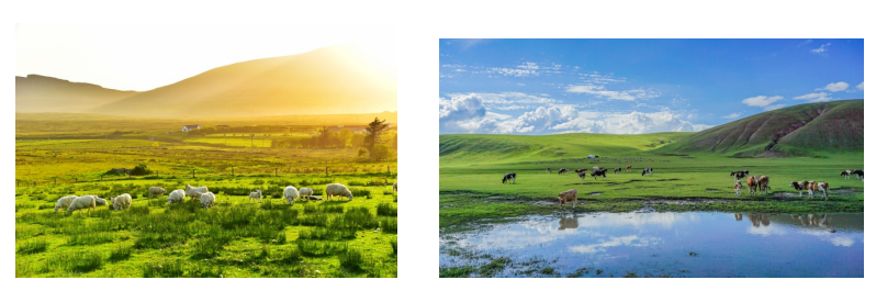 1665391471341573.png image.png