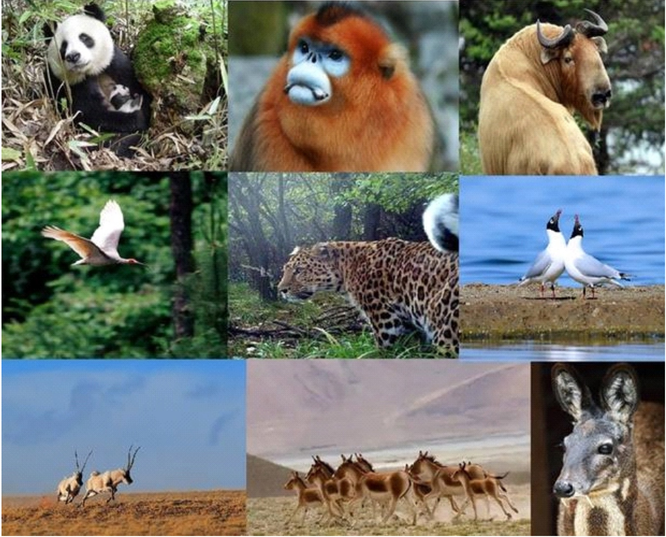 1730864242179777.jpg 1730864242179777.jpg